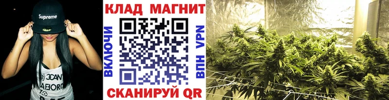 Купить Марихуана  Меф  Alpha PVP  Псилоцибиновые грибы  ГАШ  Берёзовский
