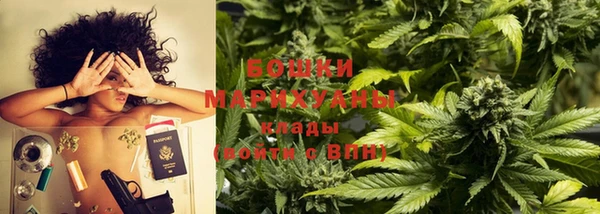 ПСИЛОЦИБИНОВЫЕ ГРИБЫ Карталы